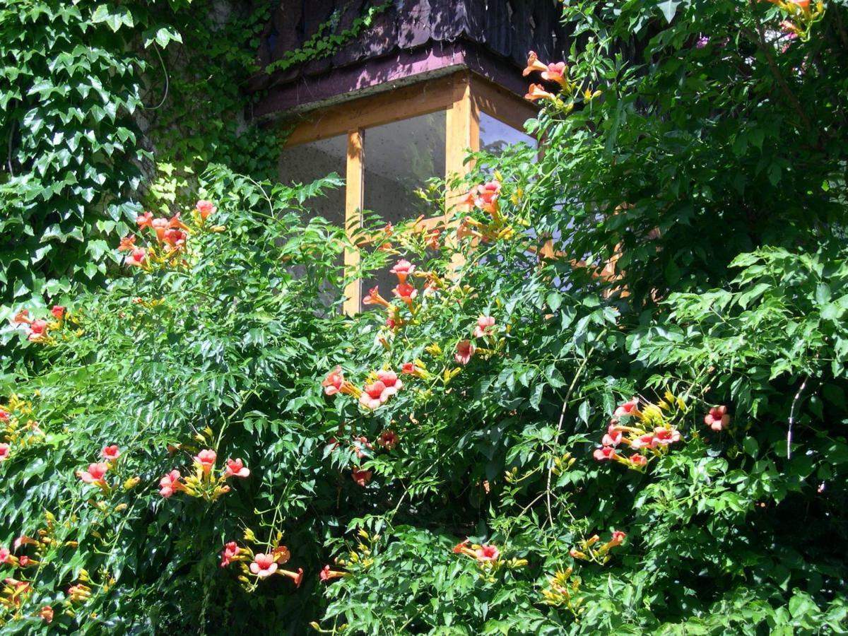 Apartament Obergereuth Hof 1288 San Martino In Passiria  Zewnętrze zdjęcie